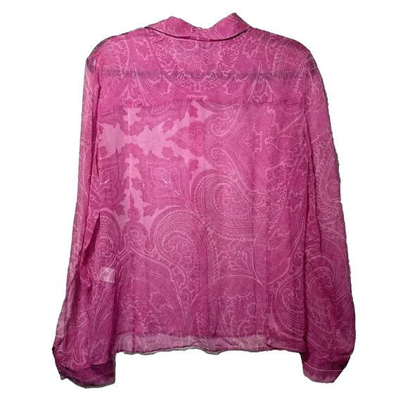 Vintage 100% Silk Anne Klein Long Sleeve Sheer Button Up Women Sz 12 Cowgirlcore - Picture 2 of 4
